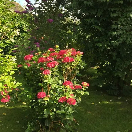 アパート Der Lebensgarten
