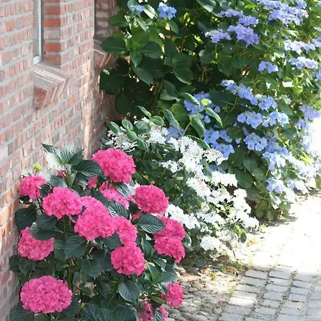 Der Lebensgarten アパート Wrixum